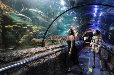 perbedaan jakarta aquarium dengan seaworld